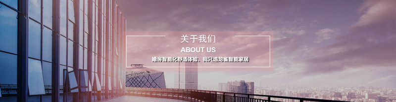 关于我们-徐州龙雀安防监控智能家居体验中心